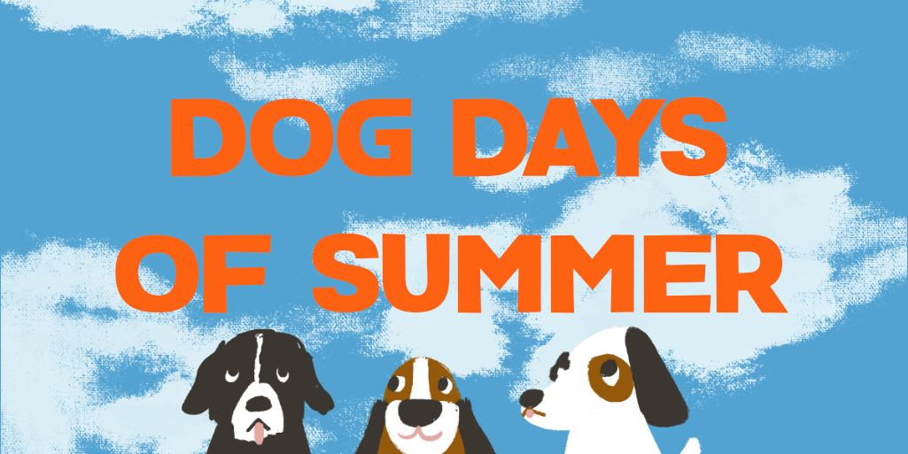 dog days of summer - twitter banner dog days of summer - twitter banner