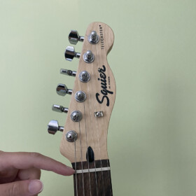 Guitar Nut Guitar Nut
