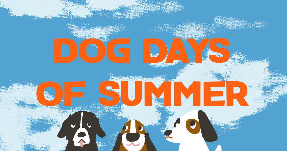 dog days of summer fb
